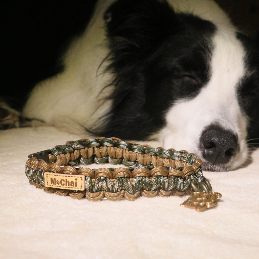MoChai Signature Rope Collar