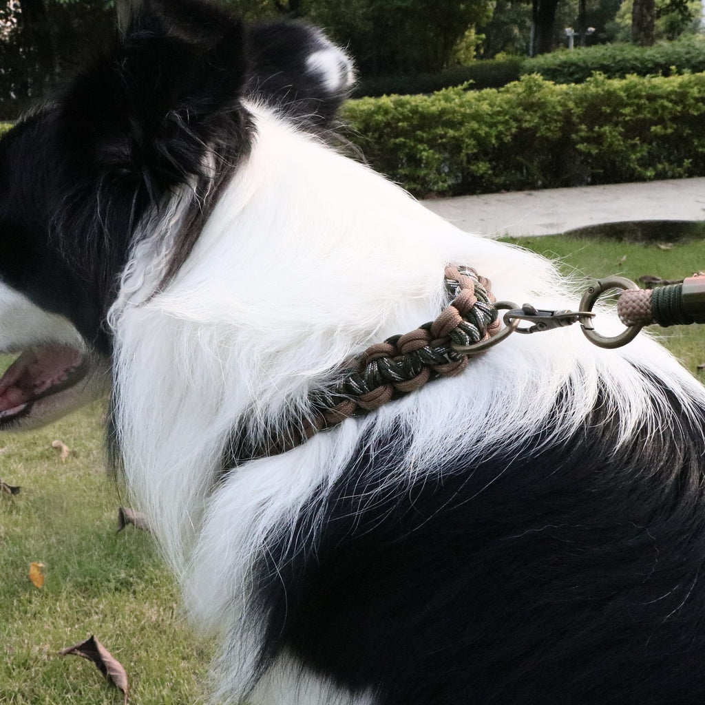MoChai Signature Rope Collar