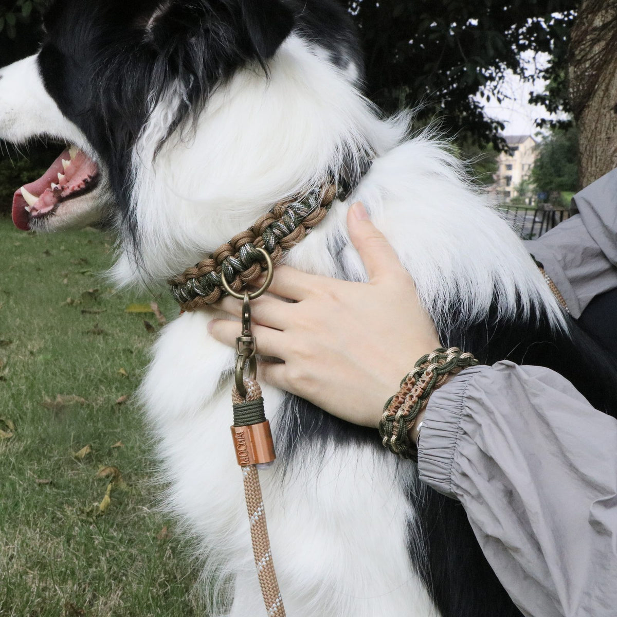 MoChai Signature Rope Collar