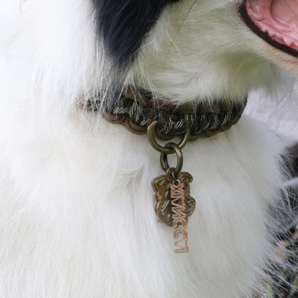 MoChai Signature Rope Collar