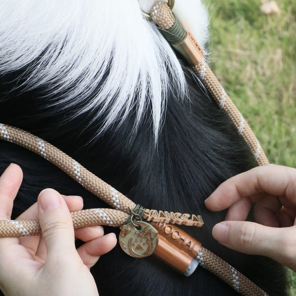MoChai Signature Rope Leash