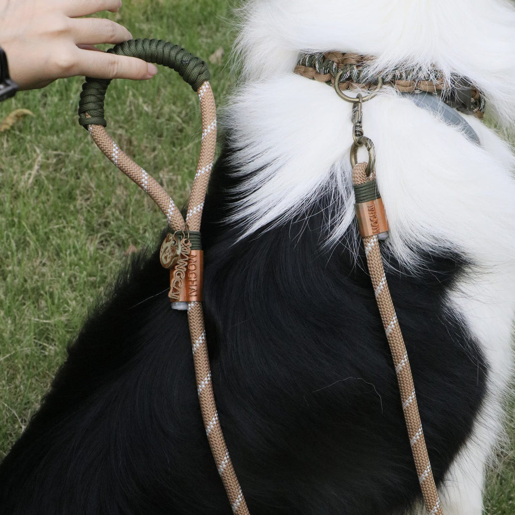 MoChai Signature Rope Leash