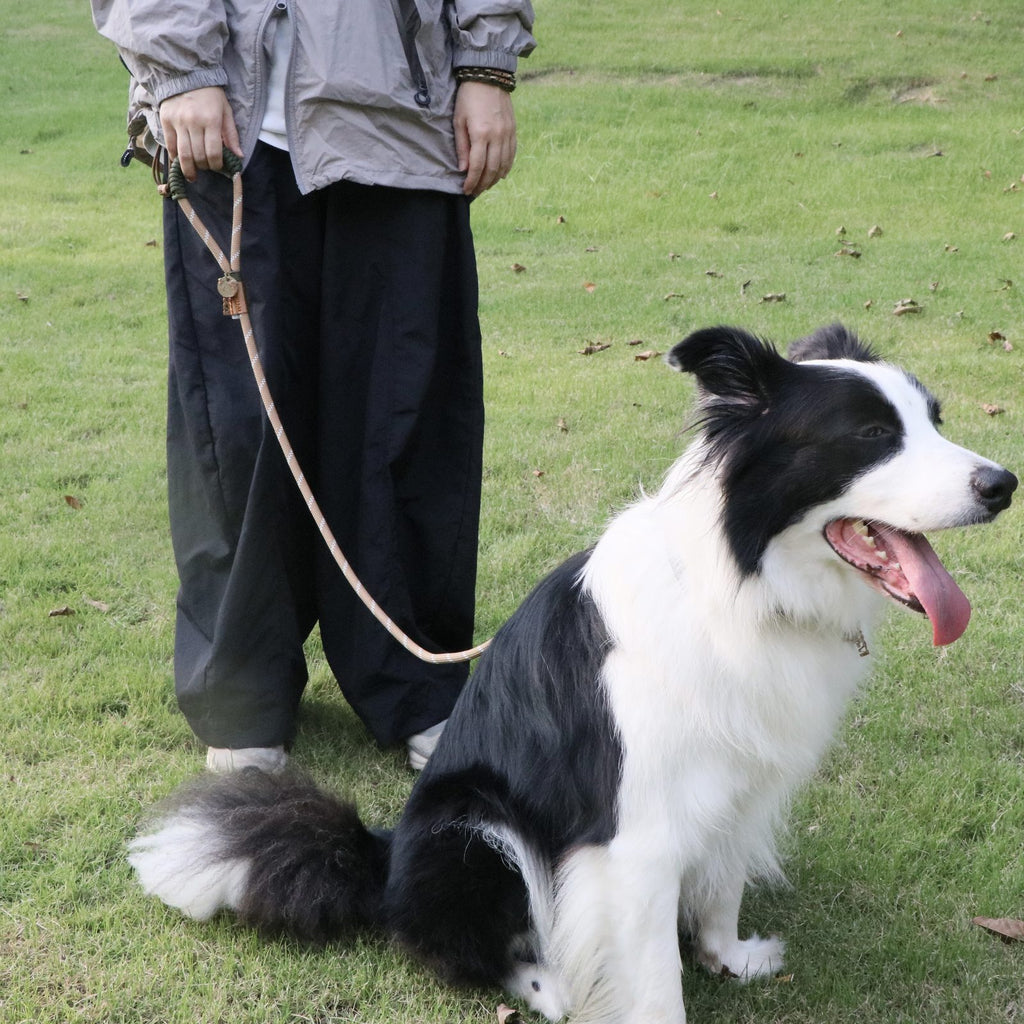 MoChai Signature Rope Leash