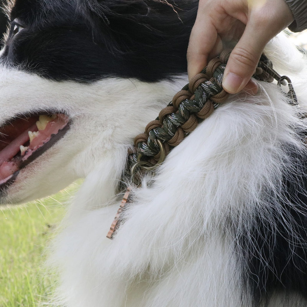 MoChai Signature Rope Collar
