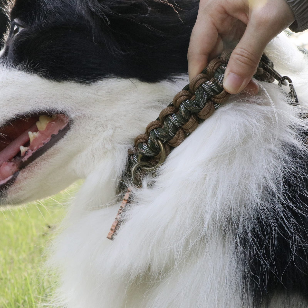 MoChai Signature Rope Collar