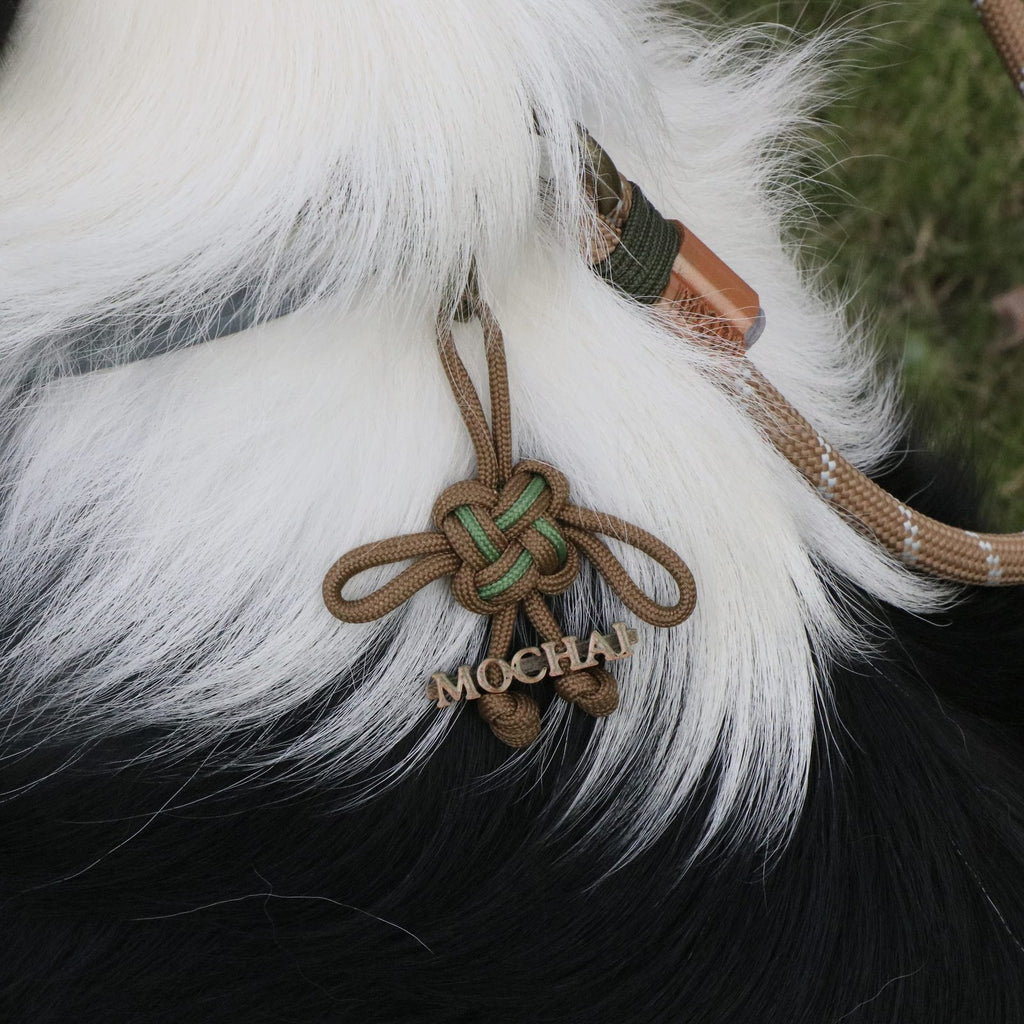 MoChai Chinese Knot Pet Charm
