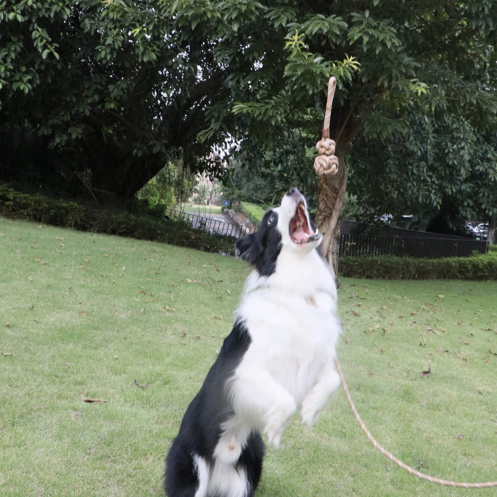 MoChai Calabash Rope Toy
