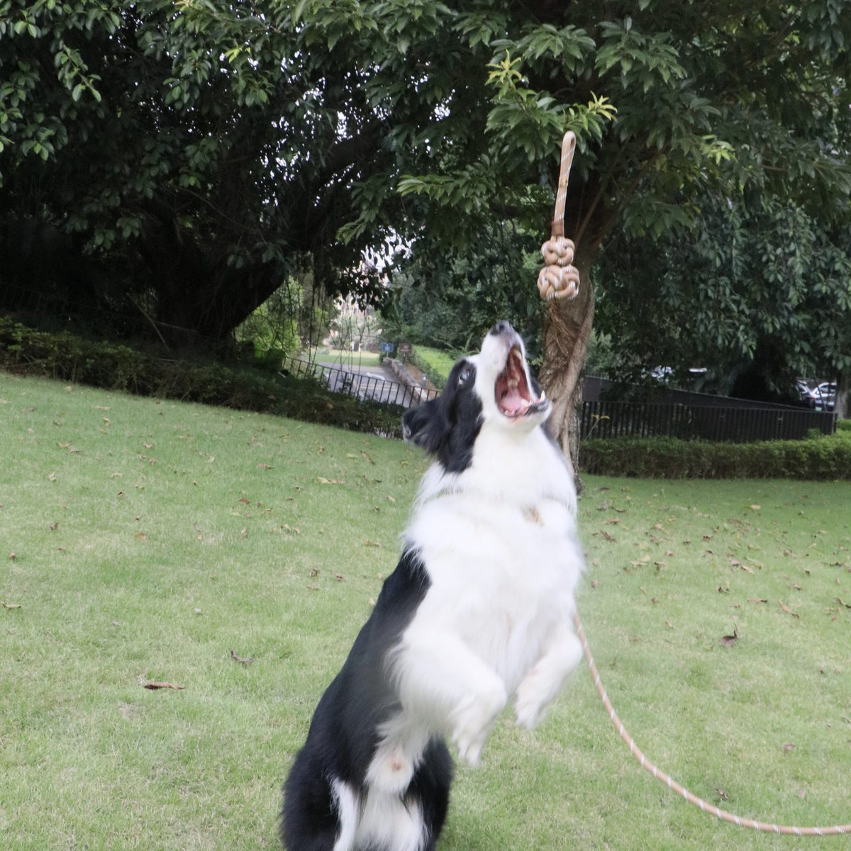 MoChai Calabash Rope Toy