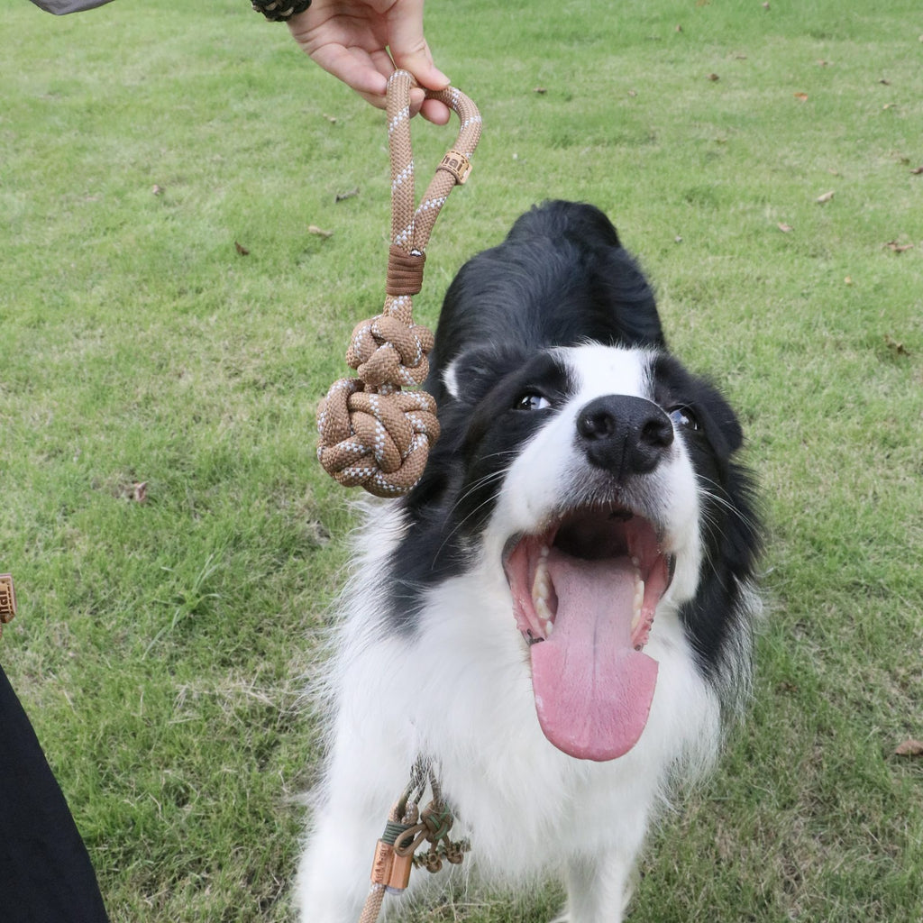 MoChai Calabash Rope Toy